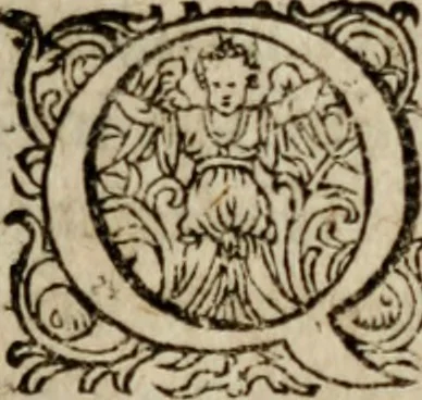 An illustration from Appendix apologetica ... pertinens ad secundam ejus operum Lugduni editorum partem, 1605, leaf 12