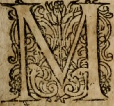 An illustration from Appendix apologetica ... pertinens ad secundam ejus operum Lugduni editorum partem, 1605, leaf 142