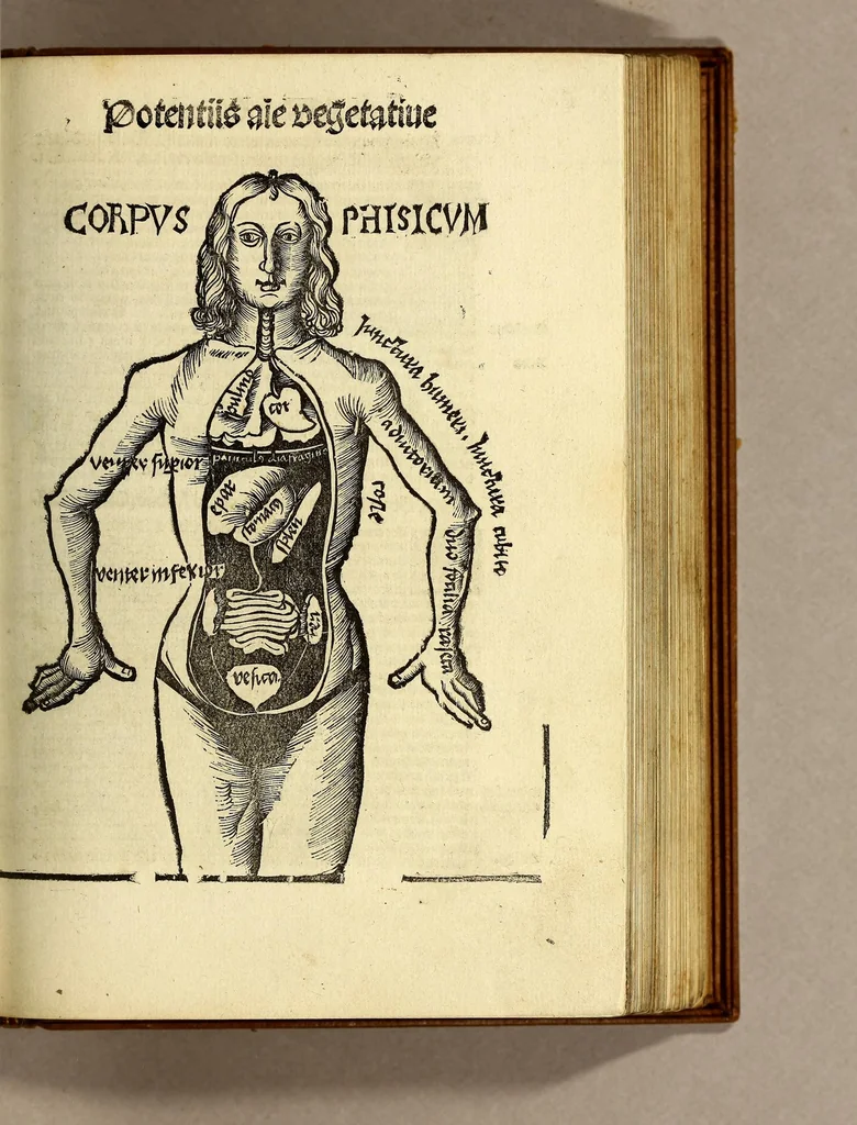 An illustration from Appe[n]dix matheseos in Margarita[m] philosophica[m] ., 1512, leaf 381