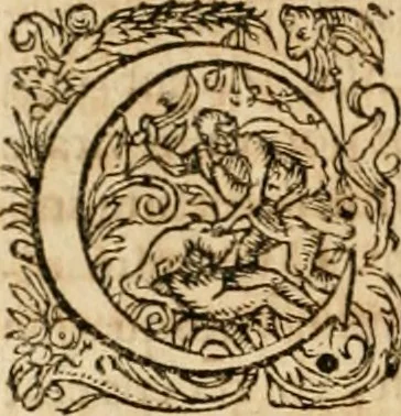 An illustration from Appendix necessaria Syntagmatis arcanorum chymicorum Andreae Libavii ... : in qva praeter arcanorvm nonnvllorum expositionem & illustrationem, quorundam item medicorum hermeticorum & mysticorum descriptionem, continentur defensiones geminae, primum eorum quae ab Henningo Schevnemano & iuniore Gramano sunt impugnata, postea quae in transmutatoria metallorum à Nicolao Gviberto ... sunt attentata ..., 1615, leaf 149