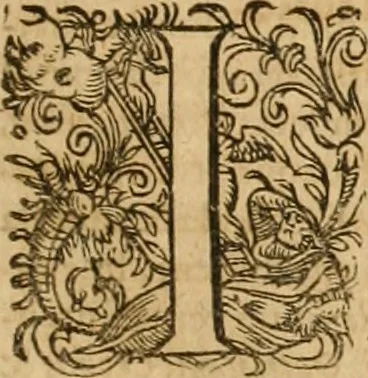 An illustration from Appendix necessaria Syntagmatis arcanorum chymicorum Andreae Libavii ... : in qva praeter arcanorvm nonnvllorum expositionem & illustrationem, quorundam item medicorum hermeticorum & mysticorum descriptionem, continentur defensiones geminae, primum eorum quae ab Henningo Schevnemano & iuniore Gramano sunt impugnata, postea quae in transmutatoria metallorum à Nicolao Gviberto ... sunt attentata ..., 1615, leaf 16