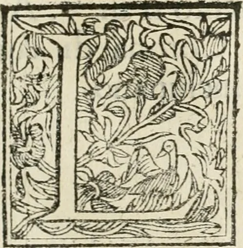 An illustration from Applausi di Firenze per la canonizzazione di s. Filippo Benizi, propagatore dell' Ordine de' Serui di Maria Vergine, 1672, leaf 10