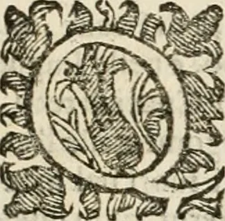 An illustration from Applausi di Firenze per la canonizzazione di s. Filippo Benizi, propagatore dell' Ordine de' Serui di Maria Vergine, 1672, leaf 14