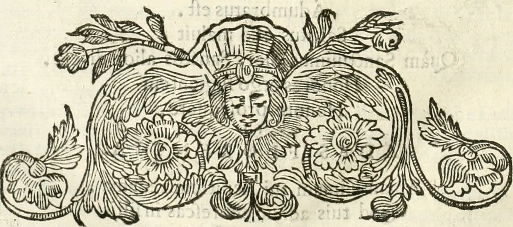 An illustration from Applausi di Firenze per la canonizzazione di s. Filippo Benizi, propagatore dell' Ordine de' Serui di Maria Vergine, 1672, leaf 67
