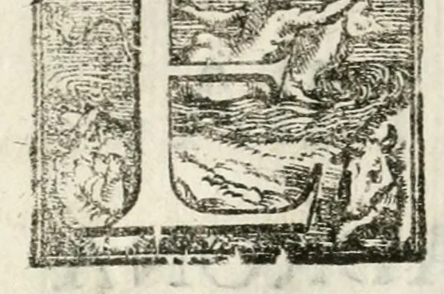 An illustration from Applausi festiui fatti in Piacenza per la nascita della maestà del reale infante Filippo Prospero della Spagna ..., 1658, leaf 8