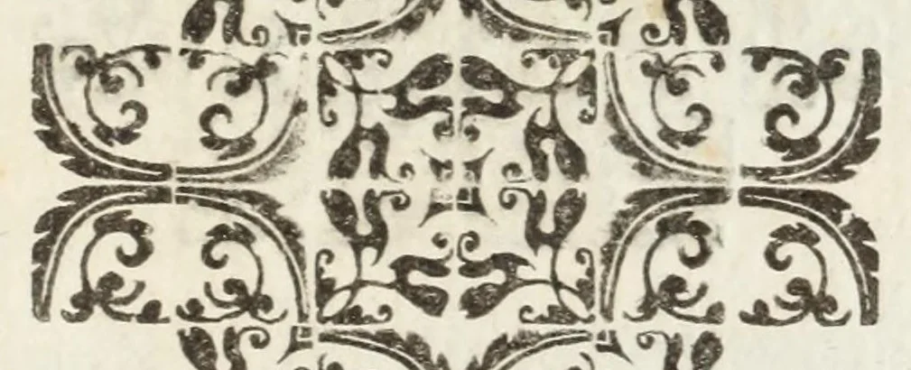 An illustration from Applavsi festivi fatti in Roma per l'elezzione di Ferdinando III. al regno de' romani dal ser.mo princ. Mavrizio card. di Savoia, 1637, leaf 141