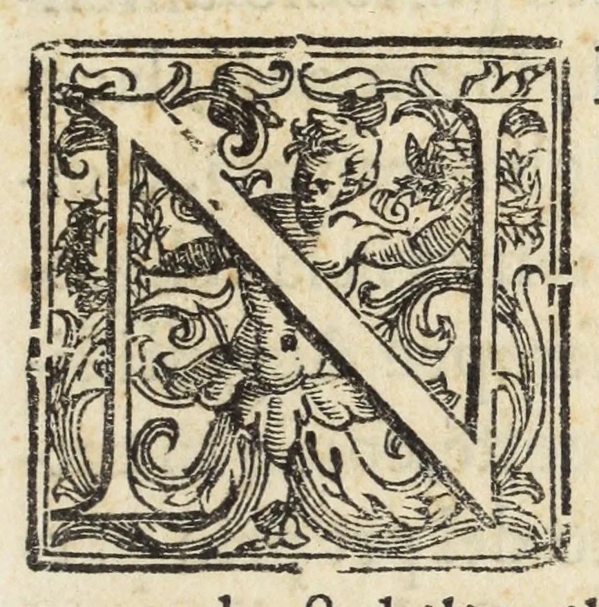 An illustration from Applavsi festivi fatti in Roma per l'elezzione di Ferdinando III. al regno de' romani dal ser.mo princ. Mavrizio card. di Savoia, 1637, leaf 11