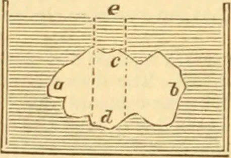 An illustration from Appletons' cyclopaedia of applied mechanics: a dictionary of mechanical engineering and the mechanical arts, 1880, leaf 137