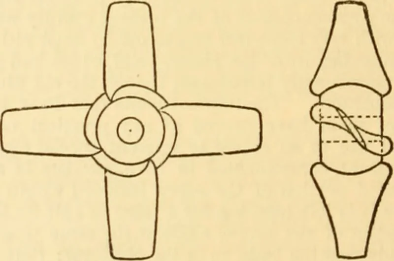 An illustration from Appletons' cyclopaedia of applied mechanics: a dictionary of mechanical engineering and the mechanical arts, 1880, leaf 753
