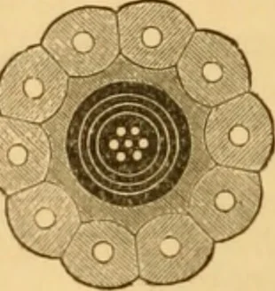 An illustration from Appletons' cyclopaedia of applied mechanics: a dictionary of mechanical engineering and the mechanical arts, 1880, leaf 893