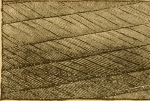 An illustration from Appletons' cyclopaedia of applied mechanics: a dictionary of mechanical engineering and the mechanical arts, 1880, leaf 893