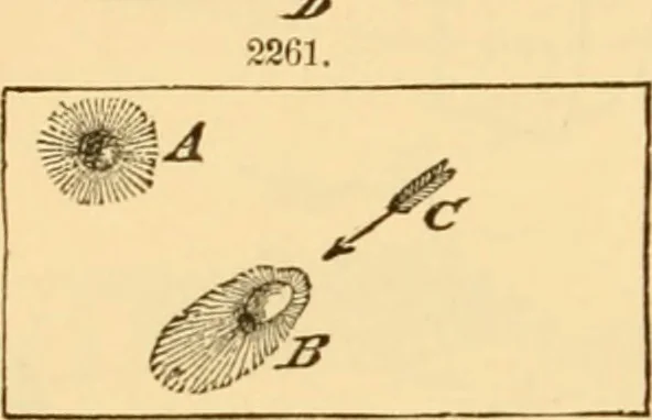 An illustration from Appletons' cyclopaedia of applied mechanics: a dictionary of mechanical engineering and the mechanical arts, 1880, leaf 93
