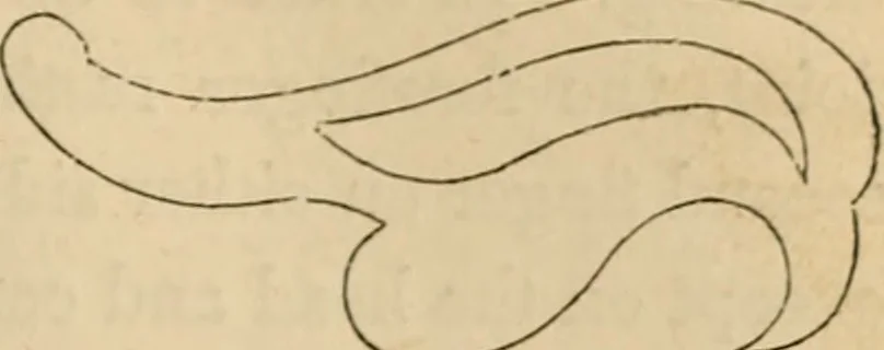 An illustration from Appleton's cyclopædia of drawing, designed as a textbook for the mechanic, architect, engineer, and surveyor, 1866, leaf 32