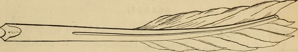 An illustration from Appleton's cyclopædia of drawing, designed as a textbook for the mechanic, architect, engineer, and surveyor, 1866, leaf 36