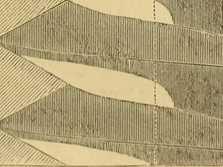 An illustration from Appleton's cyclopædia of drawing, designed as a textbook for the mechanic, architect, engineer, and surveyor, 1866, leaf 509