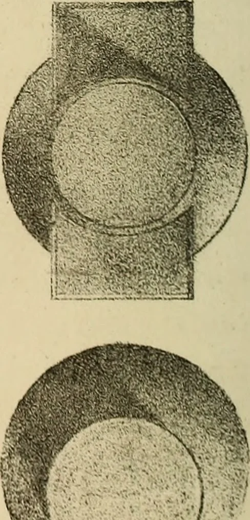 An illustration from Appleton's cyclopædia of drawing, designed as a textbook for the mechanic, architect, engineer, and surveyor, 1866, leaf 523