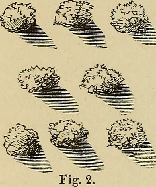 An illustration from Appleton's cyclopædia of drawing, designed as a textbook for the mechanic, architect, engineer, and surveyor, 1866, leaf 549