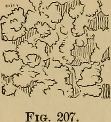 An illustration from Appletons' cyclopædia of technical drawing, 1896, leaf 112