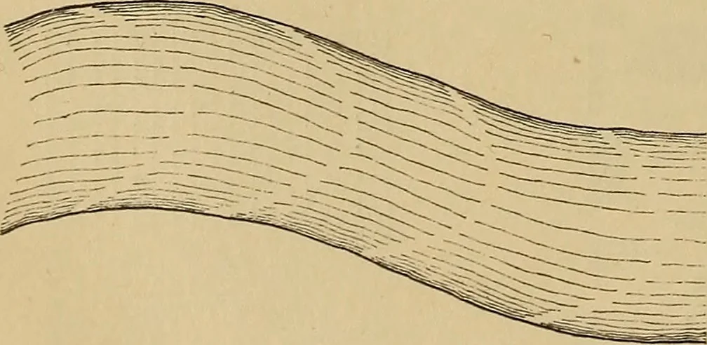 An illustration from Appletons' cyclopædia of technical drawing, 1896, leaf 113