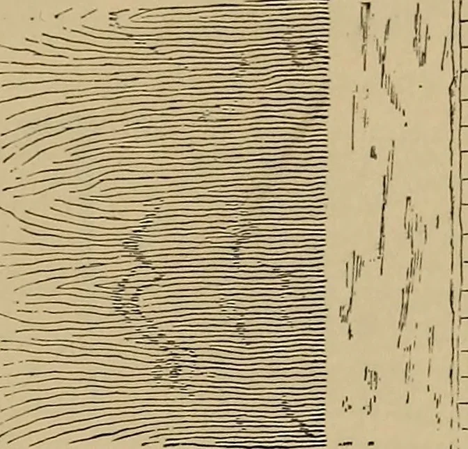 An illustration from Appletons' cyclopædia of technical drawing, 1896, leaf 184