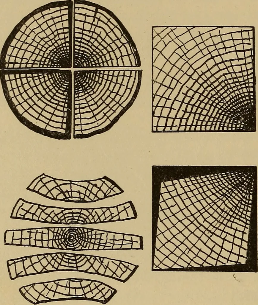 An illustration from Appletons' cyclopædia of technical drawing, 1896, leaf 185