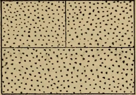 An illustration from Appletons' cyclopædia of technical drawing, 1896, leaf 190