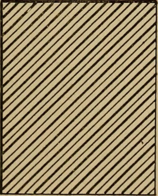 An illustration from Appletons' cyclopædia of technical drawing, 1896, leaf 194