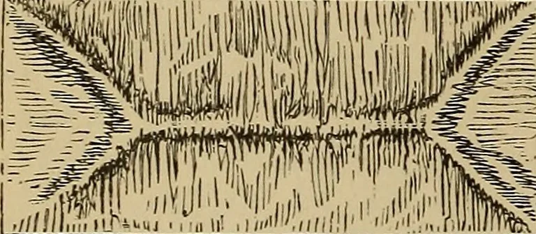 An illustration from Appletons' cyclopædia of technical drawing, 1896, leaf 195