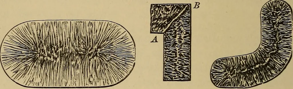 An illustration from Appletons' cyclopædia of technical drawing, 1896, leaf 195