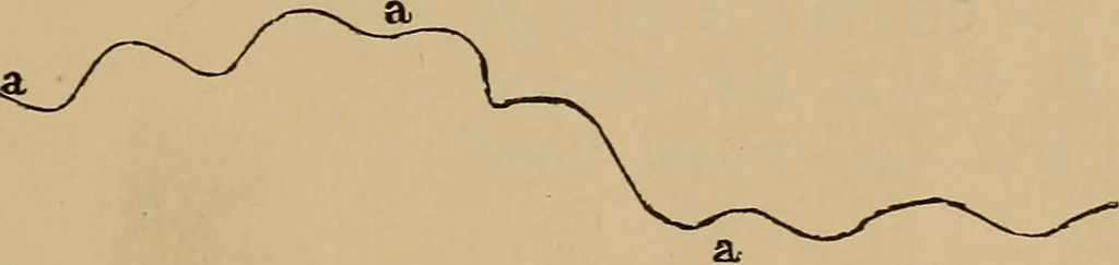 An illustration from Appletons' cyclopædia of technical drawing, 1896, leaf 20