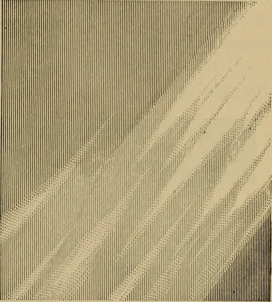 An illustration from Appletons' cyclopædia of technical drawing, 1896, leaf 200