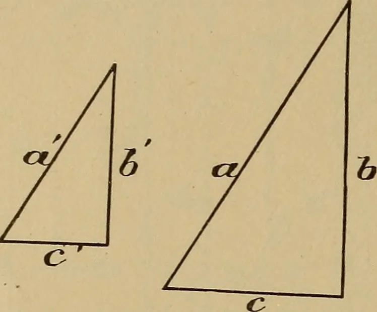An illustration from Appletons' cyclopædia of technical drawing, 1896, leaf 43