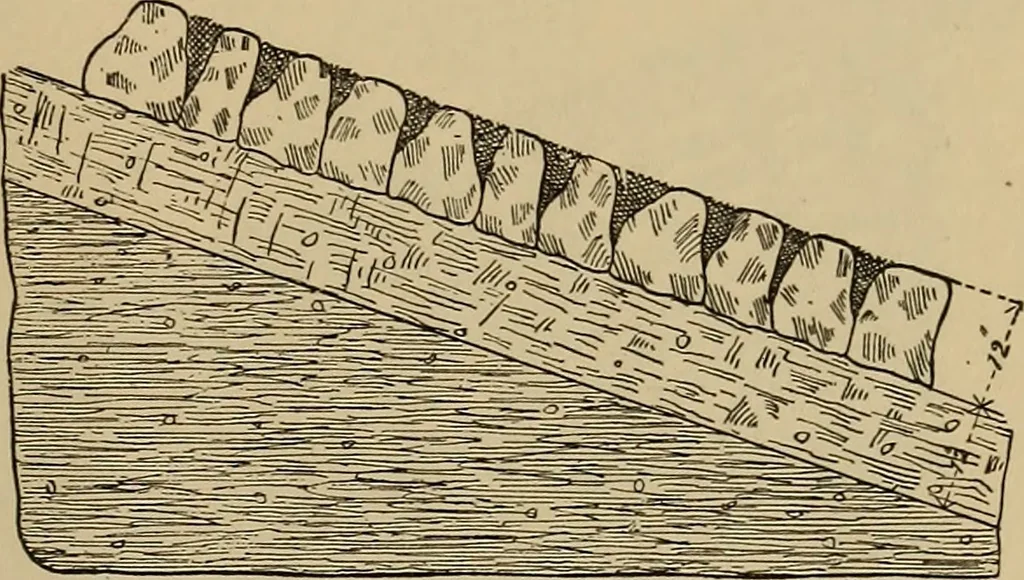 An illustration from Appletons' cyclopædia of technical drawing, 1896, leaf 456