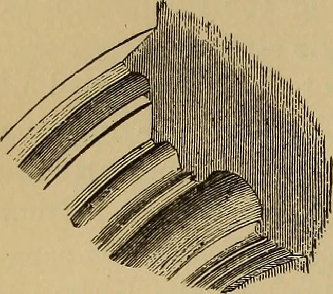 An illustration from Appletons' cyclopædia of technical drawing, 1896, leaf 697