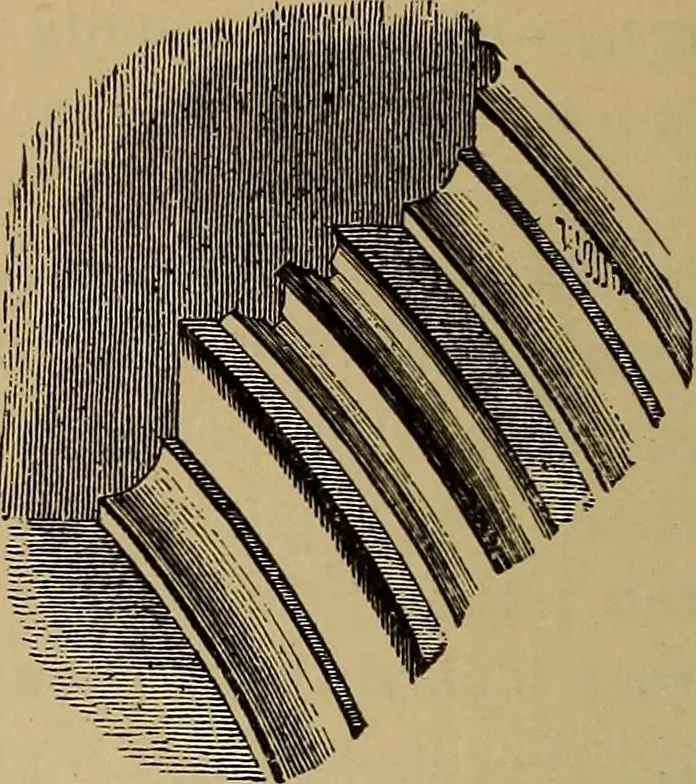 An illustration from Appletons' cyclopædia of technical drawing, 1896, leaf 697