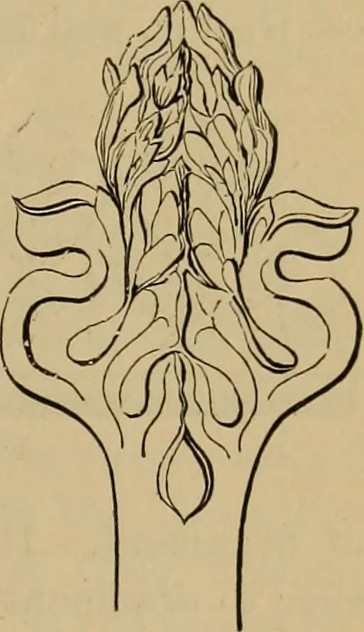 An illustration from Appletons' cyclopædia of technical drawing, 1896, leaf 704