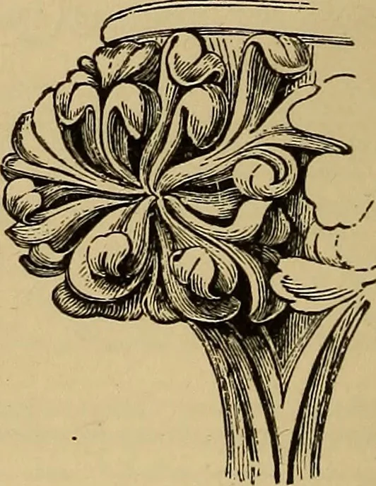 An illustration from Appletons' cyclopædia of technical drawing, 1896, leaf 705