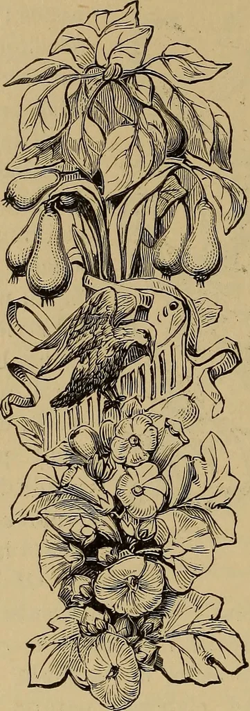 An illustration from Appletons' cyclopædia of technical drawing, 1896, leaf 707