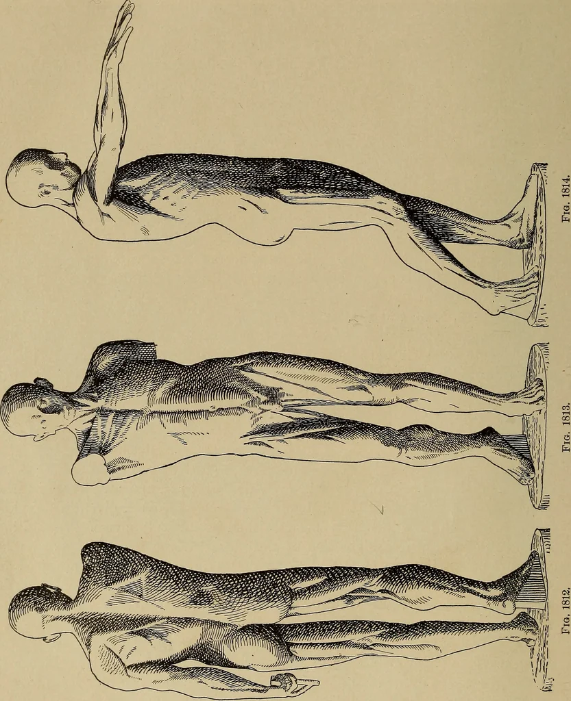 An illustration from Appletons' cyclopædia of technical drawing, 1896, leaf 749