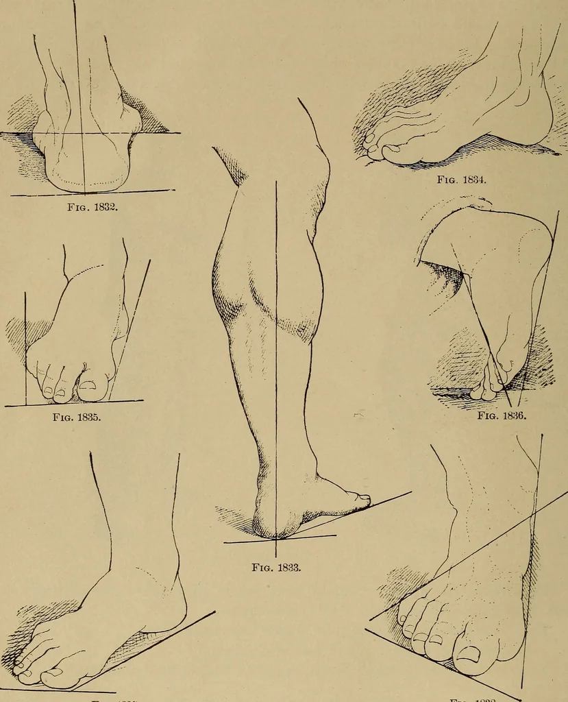 An illustration from Appletons' cyclopædia of technical drawing, 1896, leaf 757