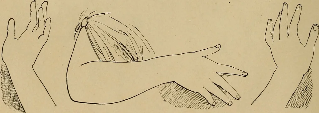 An illustration from Appletons' cyclopædia of technical drawing, 1896, leaf 757