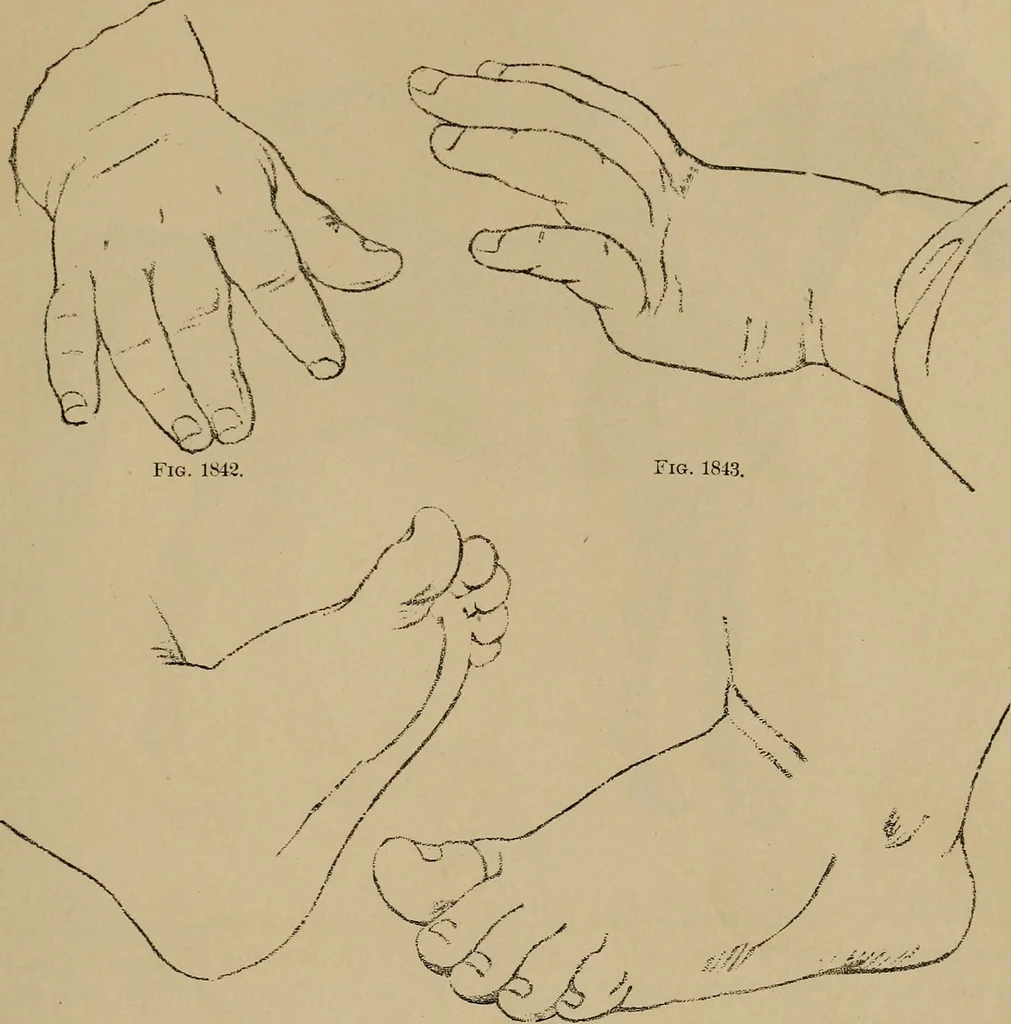 An illustration from Appletons' cyclopædia of technical drawing, 1896, leaf 758