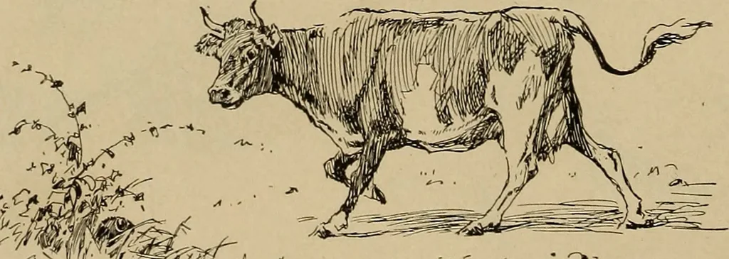 An illustration from Appletons' cyclopædia of technical drawing, 1896, leaf 759