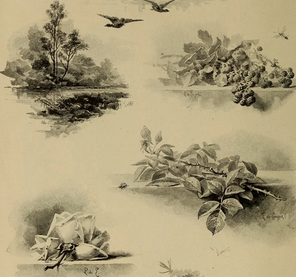 An illustration from Appletons' cyclopædia of technical drawing, 1896, leaf 767