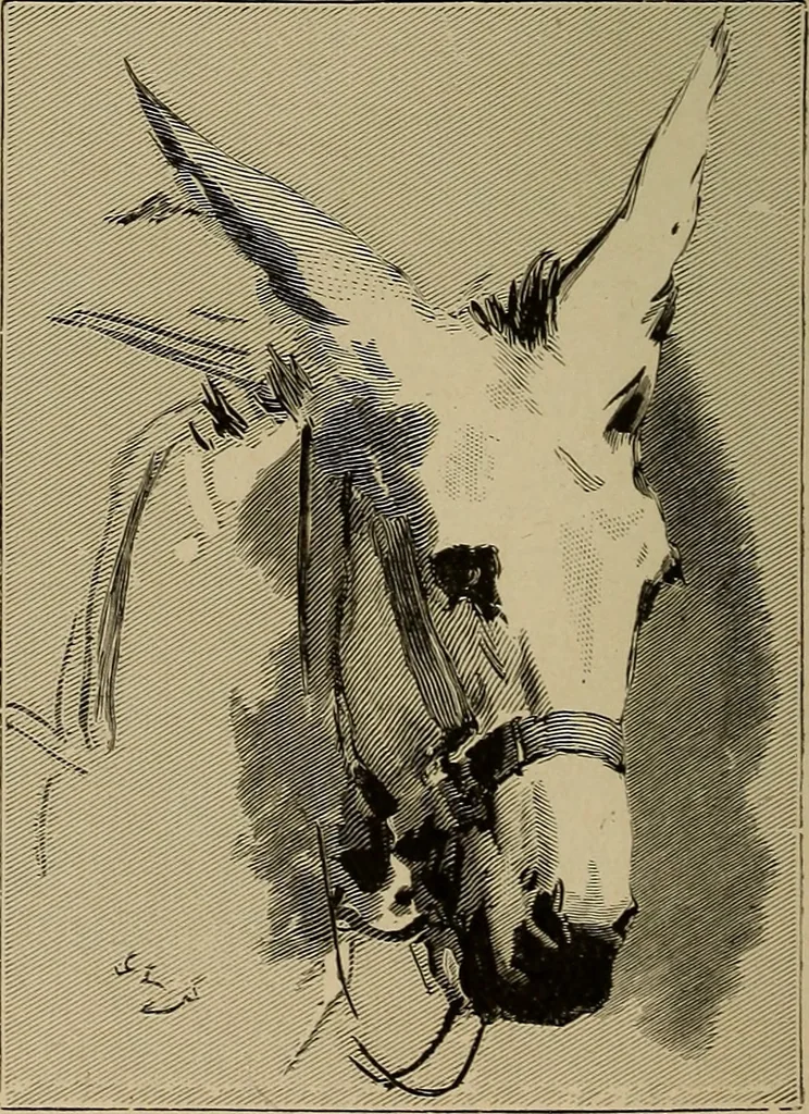 An illustration from Appletons' cyclopædia of technical drawing, 1896, leaf 771