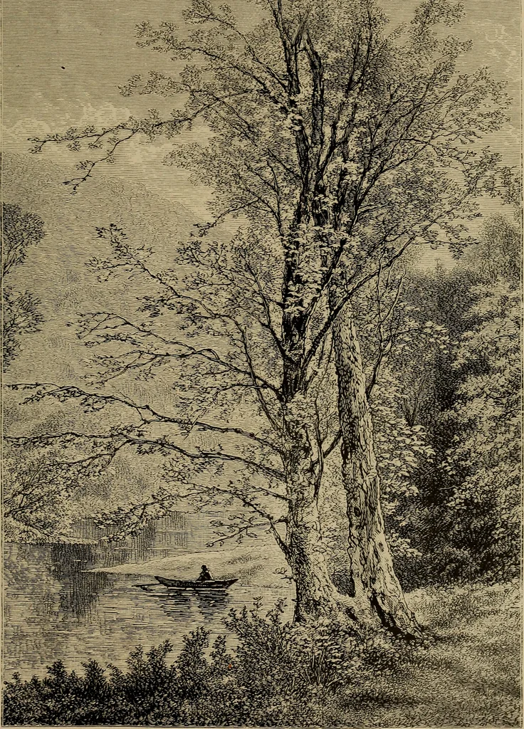 An illustration from Appletons' cyclopædia of technical drawing, 1896, leaf 774