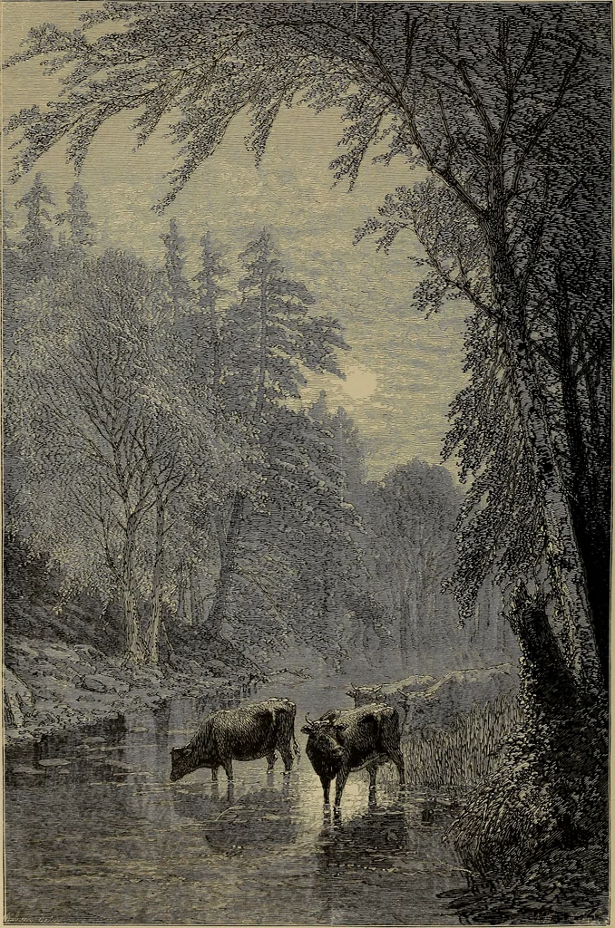 An illustration from Appletons' cyclopædia of technical drawing, 1896, leaf 775