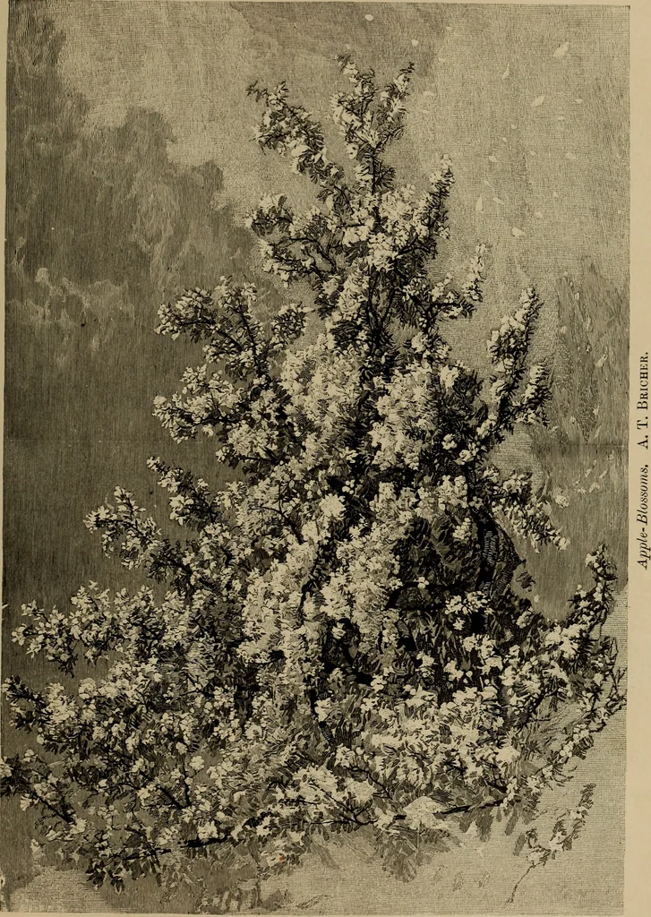 An illustration from Appletons' cyclopædia of technical drawing, 1896, leaf 776