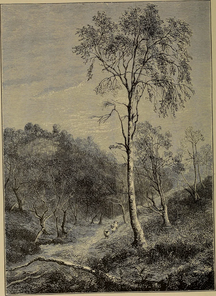 An illustration from Appletons' cyclopædia of technical drawing, 1896, leaf 777