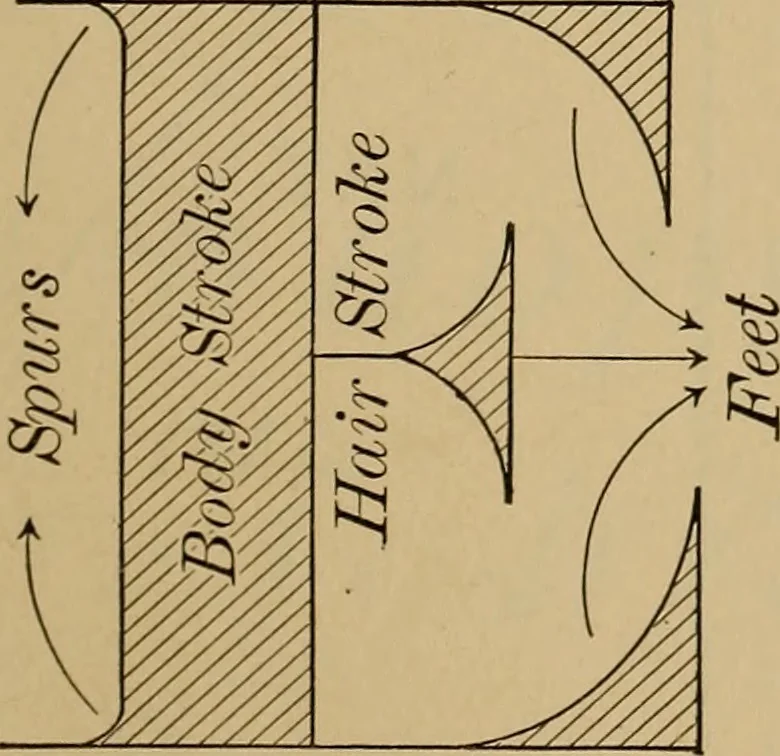 An illustration from Appletons' cyclopædia of technical drawing, 1896, leaf 80